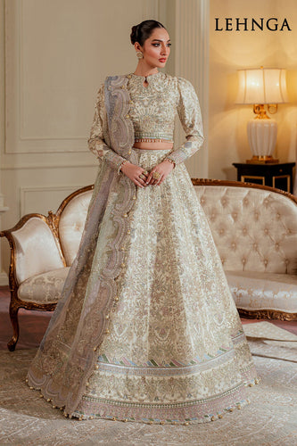 0B - EMBROIDERED NET CH13-06 (LEHNGA STYLE)