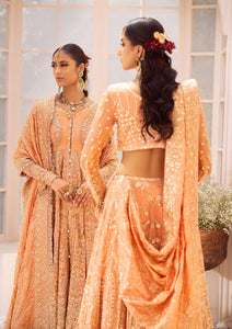 AK - LOOK 06 (STYLE 02) BLOUSE WITH LEHENGA