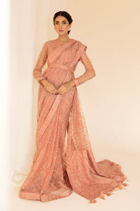 AZ - PEACH V14D09 (SAREE STYLE)