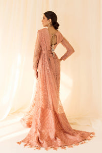 AZ - PEACH V14D09 (SAREE STYLE)