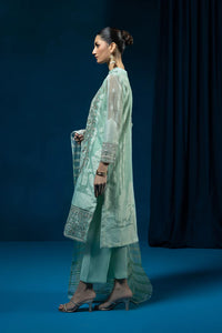 S - EMBROIDERED ORGANZA AQUA GREEN