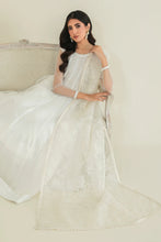 Load image into Gallery viewer, BD - EMBROIDERED ORGANZA DUPATTA-35