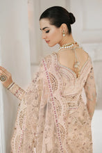 Load image into Gallery viewer, B - EMBROIDERED NET CH10-01 (SAREE STYLE)