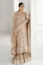 Load image into Gallery viewer, B - EMBROIDERED CHIFFON CH10-04 (LONG STYLE)