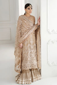 B - EMBROIDERED CHIFFON CH10-04 (LONG STYLE)