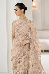 B - EMBROIDERED NET CH10-01 (SAREE STYLE)