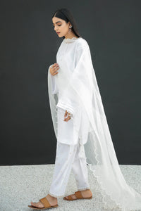 BD - ORGANZA DUPATTA-23